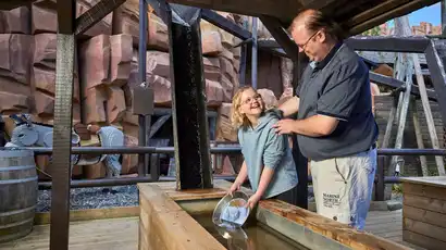 LEGOLDMINE