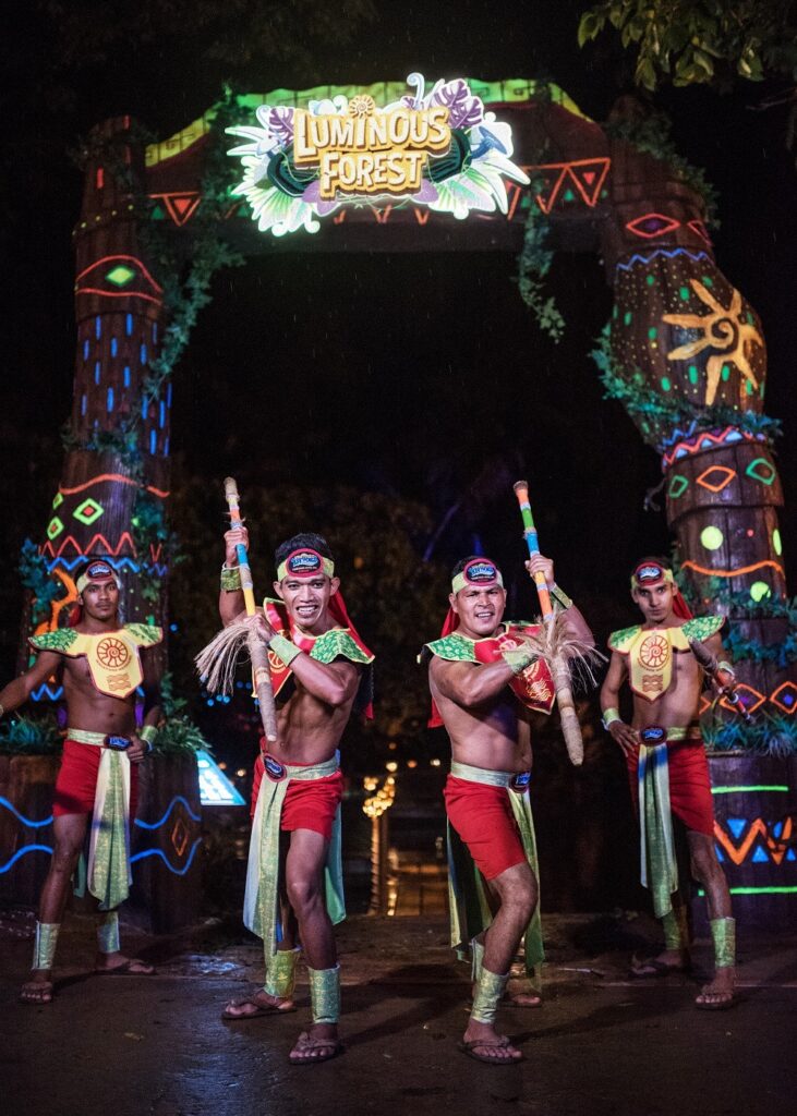 Luminous Forest à Lost World of Tambun — © Lost World of Tambun