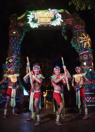 Luminous Forest à Lost World of Tambun — © Lost World of Tambun