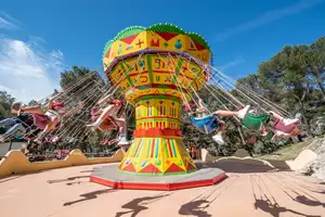 Crazy Fly