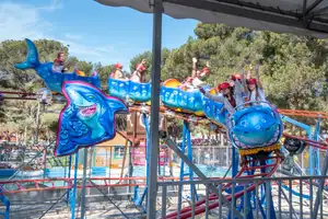 Le Shark Coaster