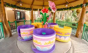 Mini-tasses