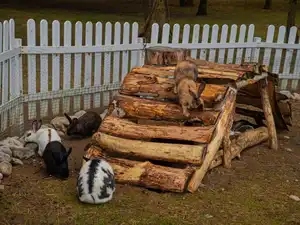 Parcours des Lapins