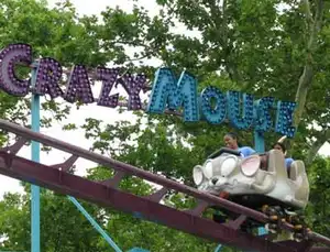 Crazy Mouse