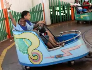 Whip