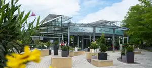 LECHUZA-Store