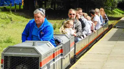 Woodland Express