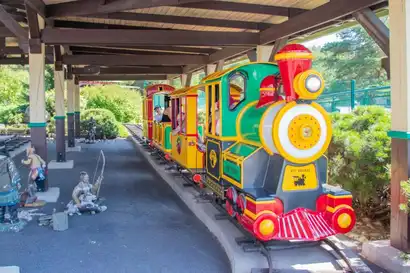 Rio Grande Train