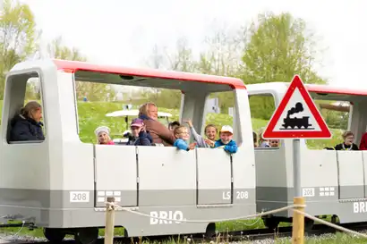 BRIO Express