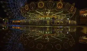 Carrousel de la savane africaine