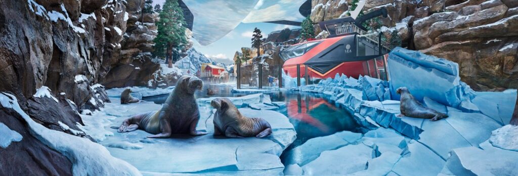 Arctic à SeaWorld Yas Island — © SeaWorld Yas Island, Abu Dhabi