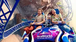 Manta à SeaWorld Yas Island — © SeaWorld Yas Island, Abu Dhabi