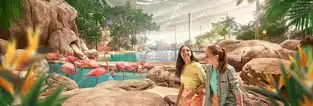Tropical Ocean à SeaWorld Yas Island — © SeaWorld Yas Island, Abu Dhabi
