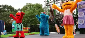 Furry Friends Rockin’ Dance Party