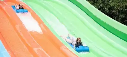 Honker Dinger Dash