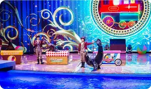 Le Haha Show des otaries