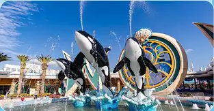 Mermaid Bay à Shanghai Haichang Ocean Park — © Shanghai Haichang Ocean Park
