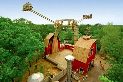 The Giant Barn Swing