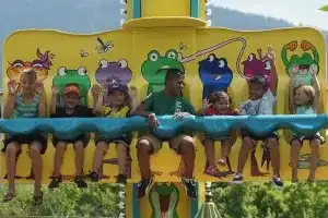 Frog Hopper