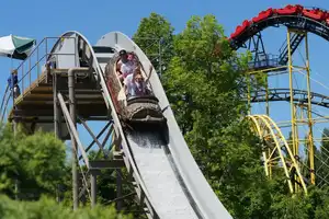 Roaring Creek Log Flume