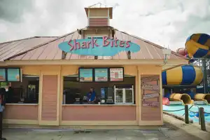Shark Bites