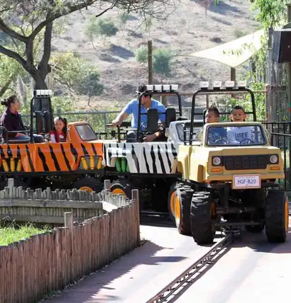 Safari Jeep Tours