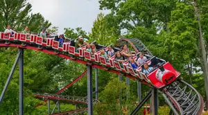 HARLEY QUINN™ Crazy Train