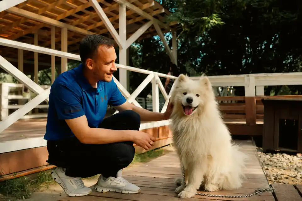 Хаски Лэнд (Husky Land)
