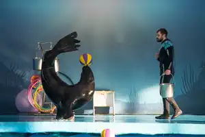 Путешествие в подводный мир (spectacle de dauphins)