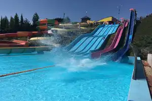 Free Fall