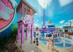 Skye's Flyers
