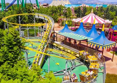 Zippy Zappy Coaster