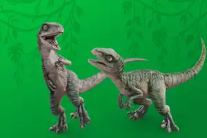 Baby Raptor Meet and Greet