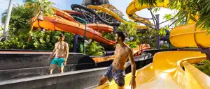 Punga Racers