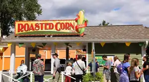 Roasted Corn