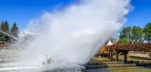 The Wave