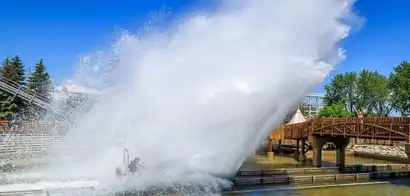 The Wave