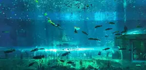 Colors of the Ocean Show