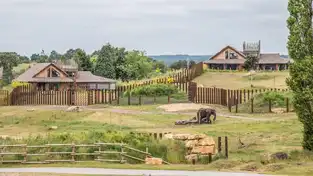 Safari Lodges à West Midland Safari Park — © West Midland Safari Park