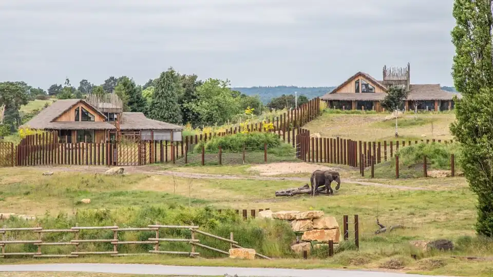 Safari Lodges