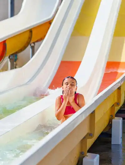 Attractions