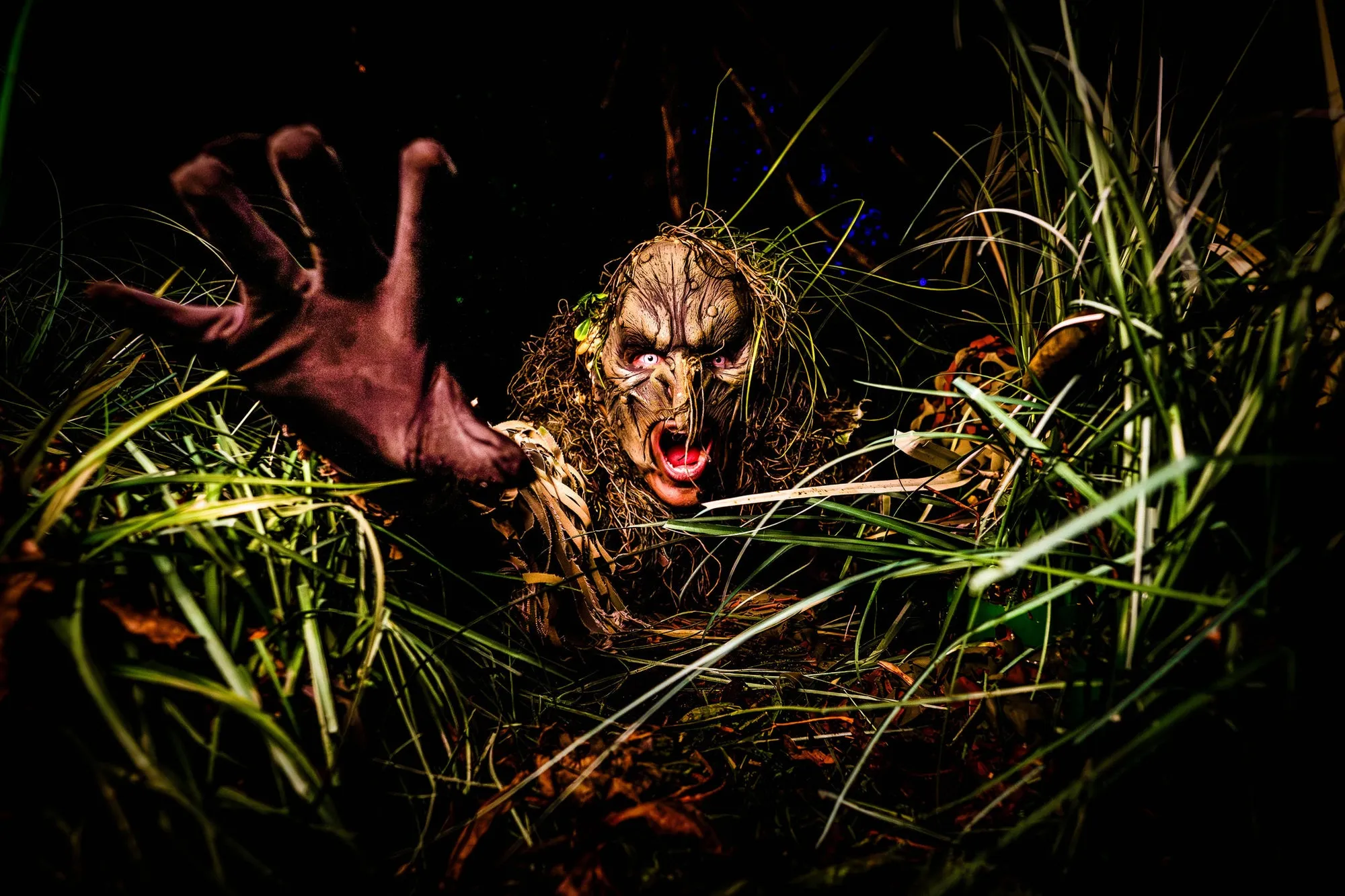 Wicked Woods, walkthrough des Halloween Fright Nights – © Walibi Holland