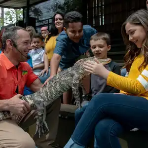 Gators Live
