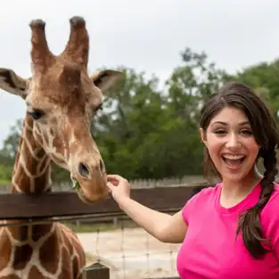 Nourrissage des girafes à Wild Adventures — © Wild Adventures