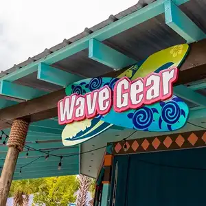 Wave Gear