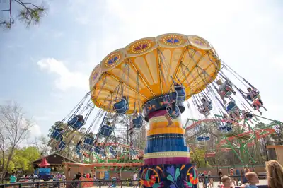 Wing Swinger