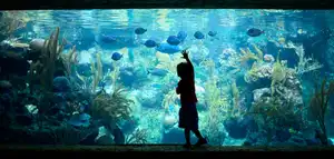Acuario de Arrecife de Coral