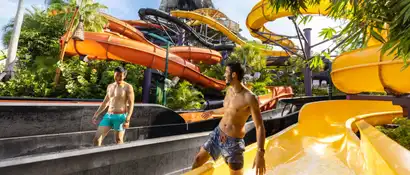 Punga Racers