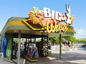 The Big Wave