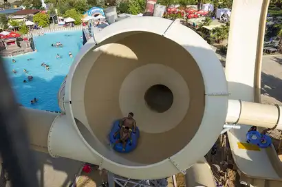 Vortex